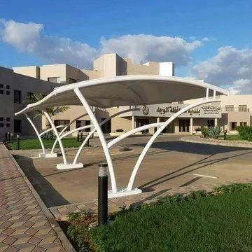 صورة المقال